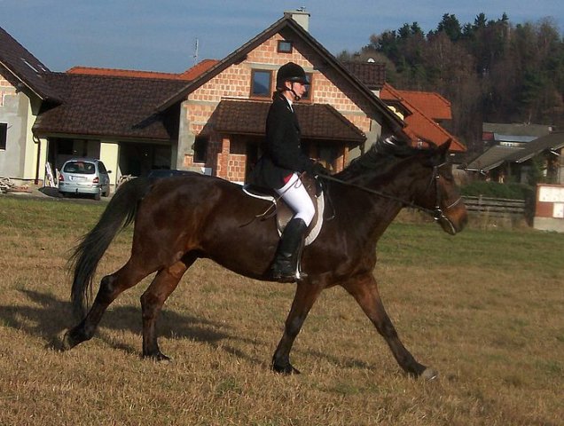 Hubertus 2006